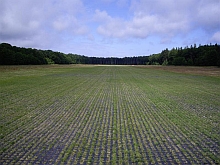 PERFO reinforced grass runway