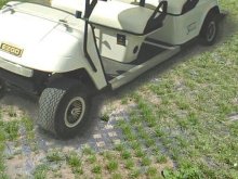 golf / buggy cart